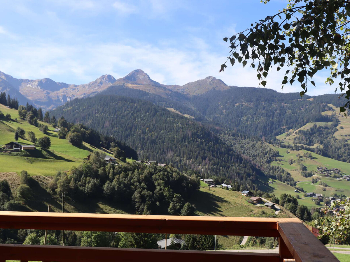 Chalet 15 pers. avec vue alpages à Arêches-Beaufort - Photo 29