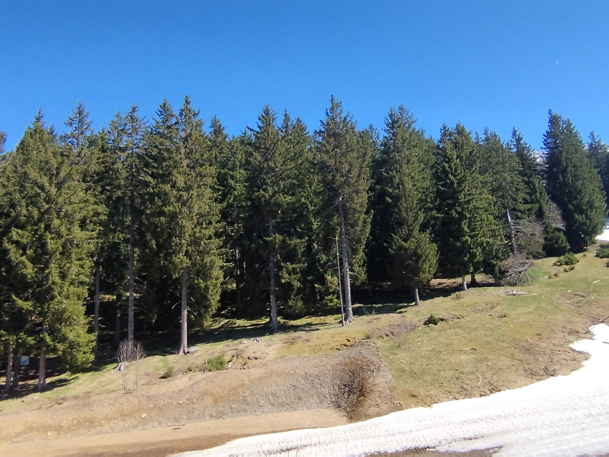 Appartement 6 pers. balcon vue piste aux 7 Laux - Photo 14