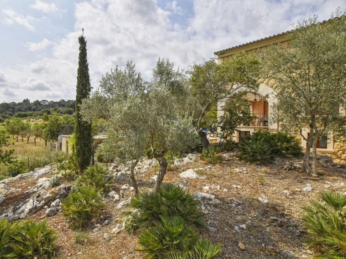 Pla De Ses Rotes, maison 10 pers. avec piscine - Photo 26
