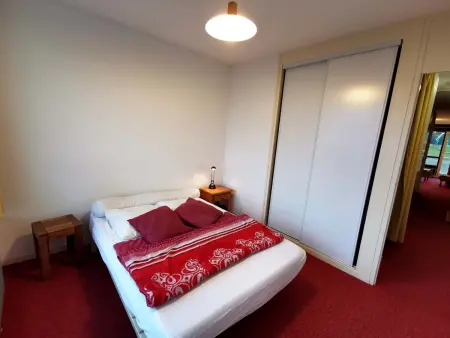 Appartement 2P cabine face aux pistes, cœur des Adrets-Prapoutel : photo 7