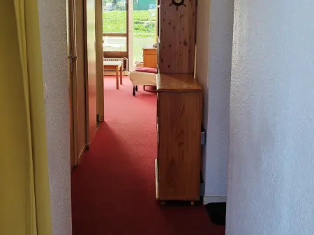 Appartement 2P cabine face aux pistes, cœur des Adrets-Prapoutel : photo 11