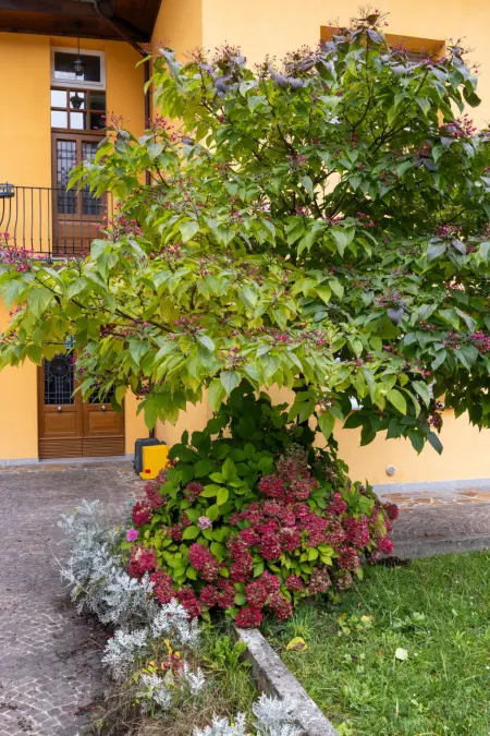 La Corleta di Sot – Appartement 2p. Ovaro - Photo 20