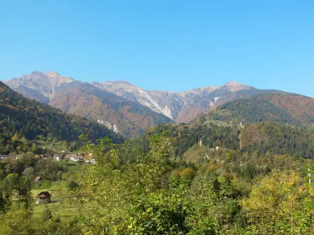 La Corleta di Sot – Appartement 2p. Ovaro - Photo 22