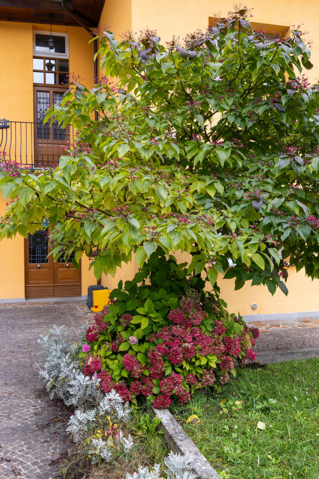 La Corleta di Sora, appartement 4 pers. à Ovaro - Photo 24