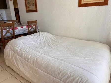 Appartement 2 pièces avec balcon vue pistes à Risoul, 6 personnes : photo 15