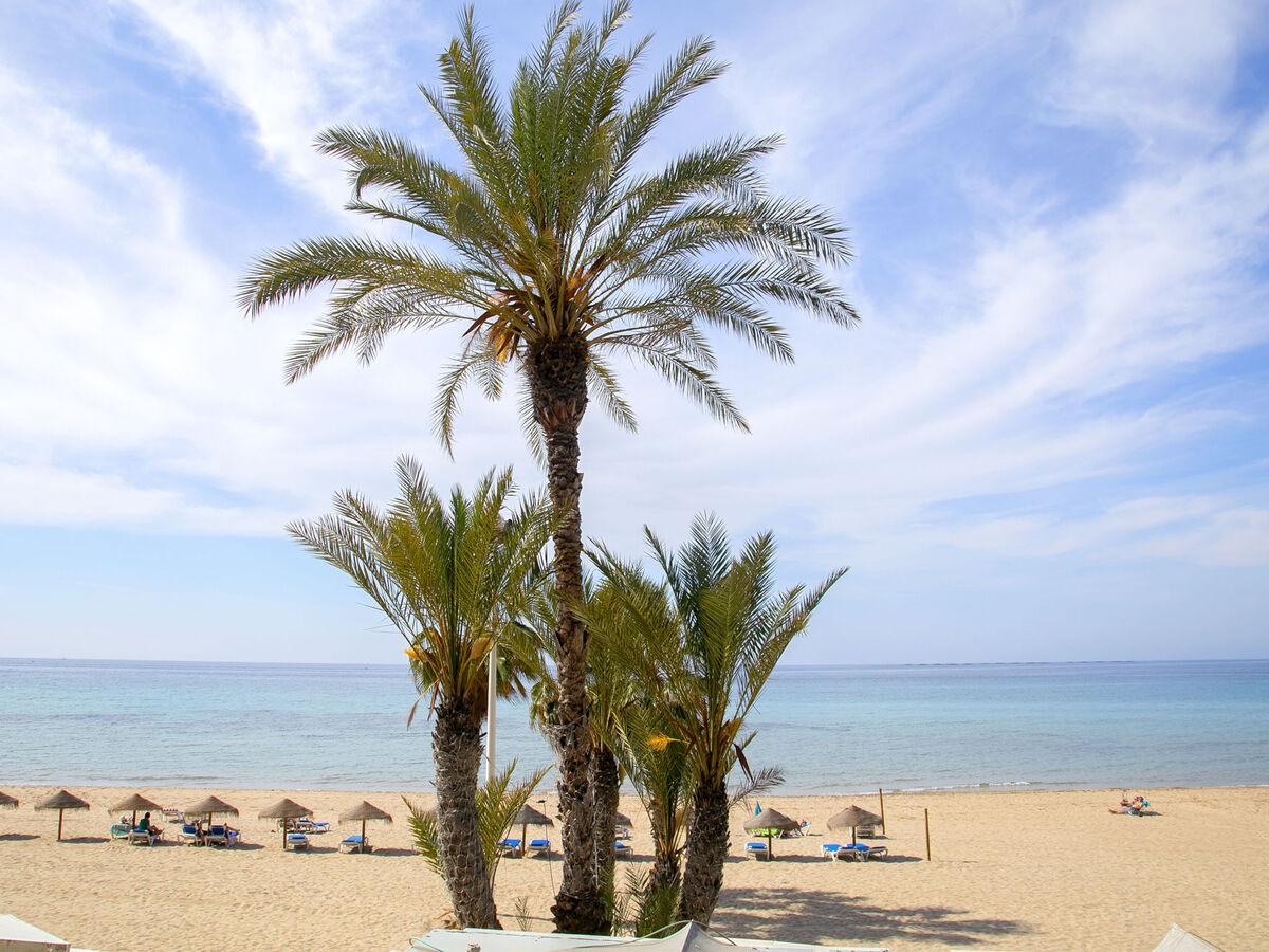 Appartement Calpemar 04 – vue mer, accès direct plage - Photo 5