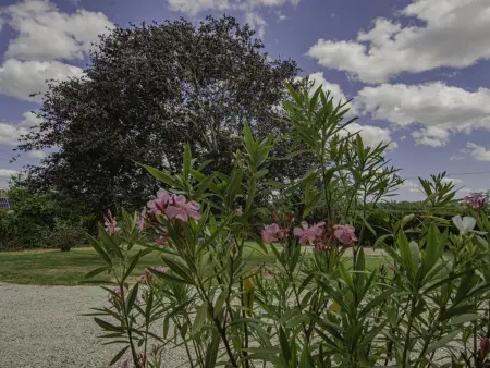 Gîte 9 personnes avec cheminée, jeux enfants et terrain clos - Photo 28