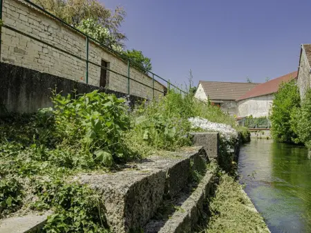 Gîte 5 pers. à Gyé-sur-Seine, jardin clos et cuisine d'été : photo 28