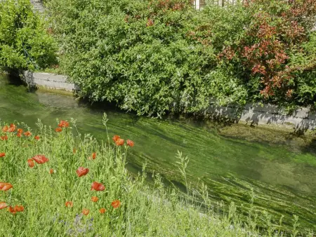Gîte 5 pers. à Gyé-sur-Seine, jardin clos et cuisine d'été : photo 32
