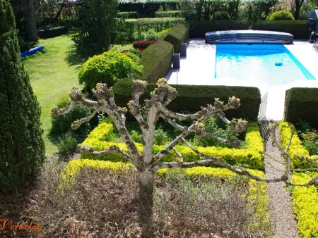 Le Verdelay, gîte 4 pers avec piscine chauffée à La Ménitré : photo 36