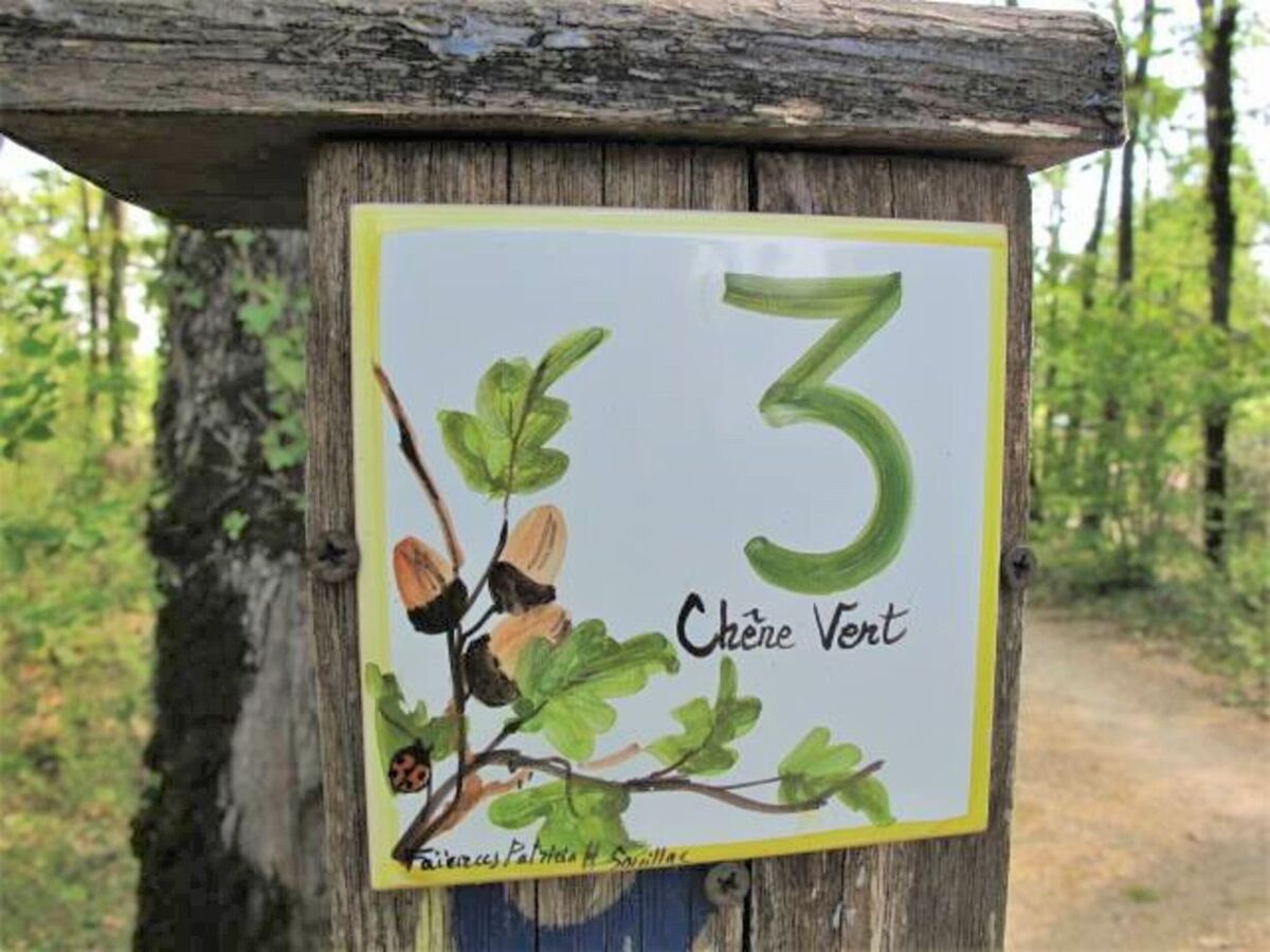Le Chêne Vert – Chalet 7 pers. à Loupiac - Photo 21