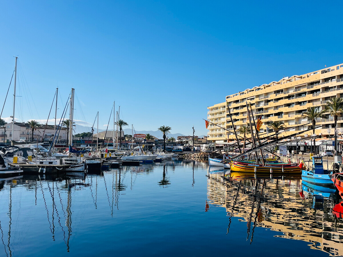 T3 Saint-Cyprien : vue mer et Canigou, 300m plages - Photo 16