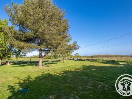 Gîte plain-pied entre Loire et Layon, terrasse bois : photo 23
