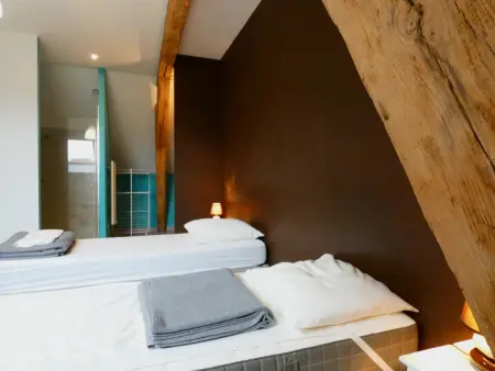 4 gîtes contemporains rénovés, 15 personnes à Moutiers : photo 15