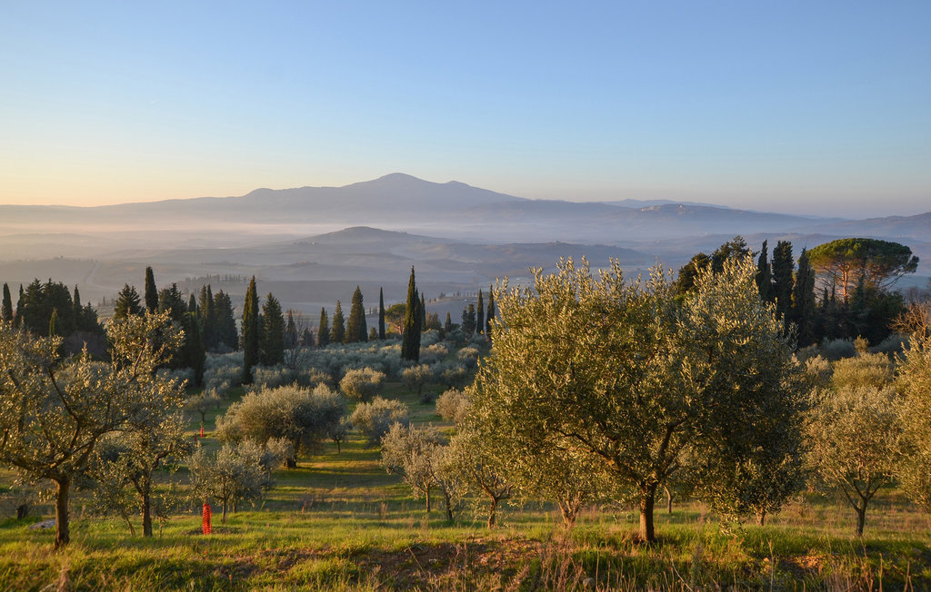 Appartement 5 personnes à Montenero d'Orcia - Photo 20