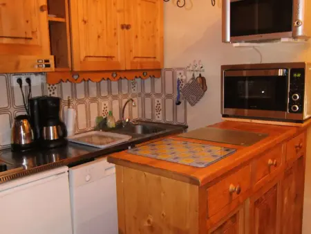 Appartement L'Alpe d'Huez, balcon sud, animaux admis, parking : photo 6