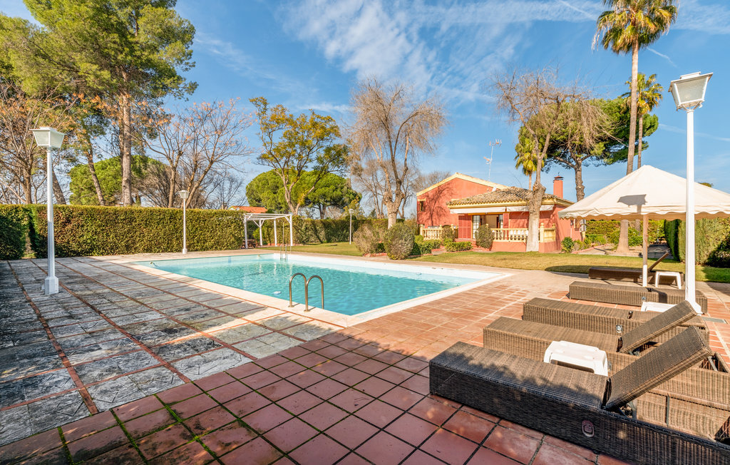 Maison 12 pers. avec piscine à Morón de la Frontera - Photo 9