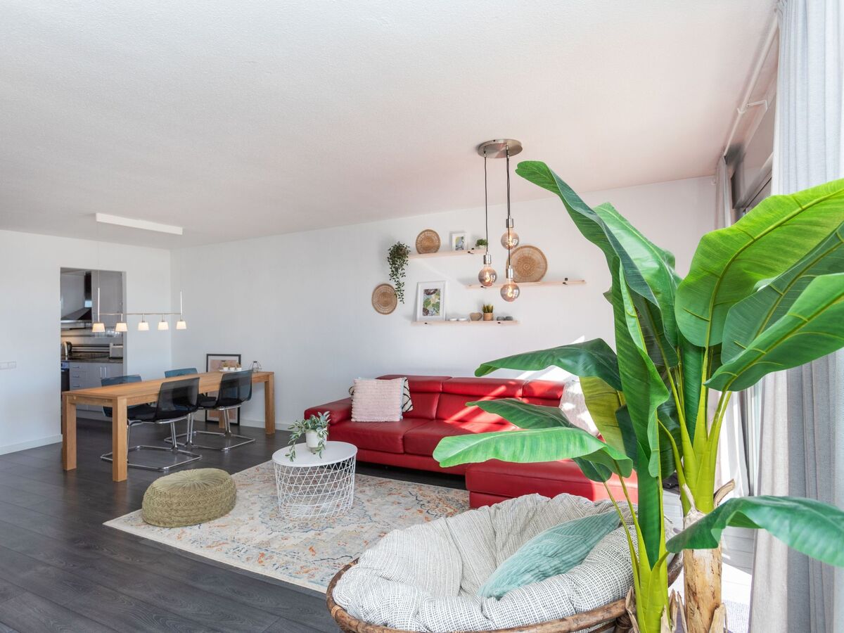 Como siempre - Appartement Vinarós, 250 m plage - Photo 6