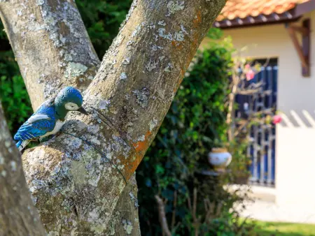L'Oiseau Bleu – Maison 120 m² à 100 m de la mer - Photo 4