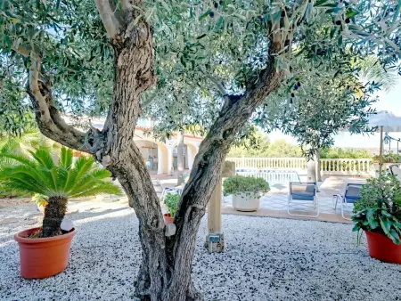 Villa Carpe Diem – piscine 14x5 m et vue mer à Javea : photo 54