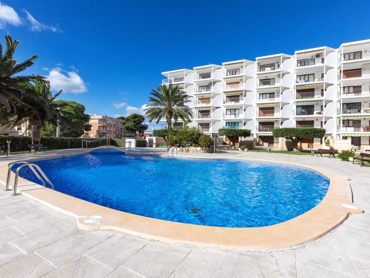 Las Mimosas - Appartement 65 m² à 40 m de la plage - Photo 18