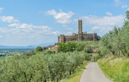 Maison 9 personnes à Castiglion Fiorentino - Photo 45