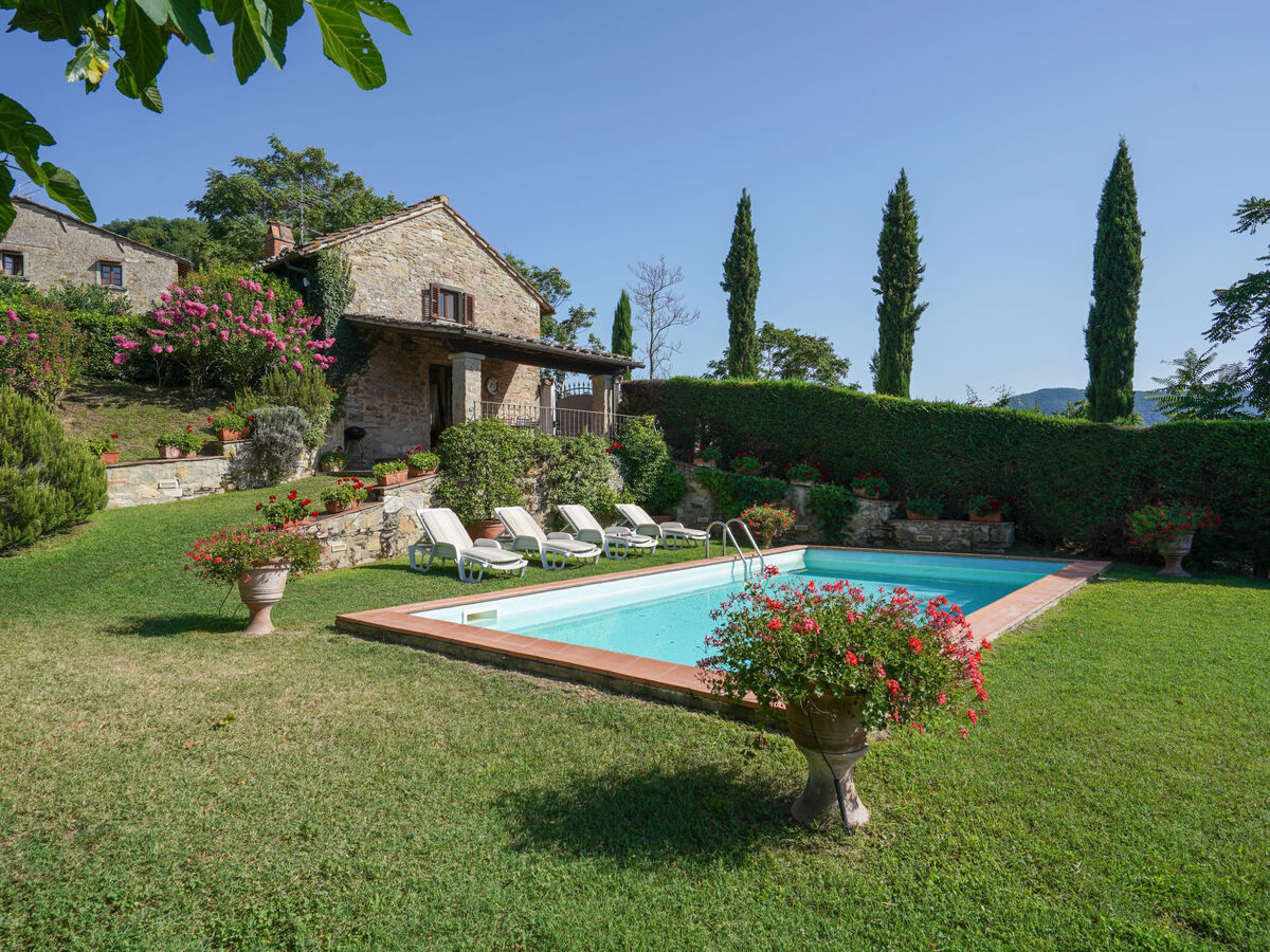 La Vista, gîte 4 pers. avec piscine à Vicchio - Photo 1