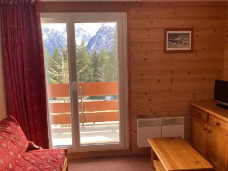 Appartement rénové 2 pièces avec balcon à 50m des pistes : photo 3