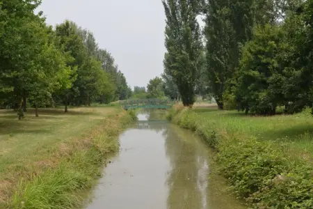 Due Laghi di Portomaggiore, Cottage à Portomaggiore avec vue sur le jardin - Photo 39