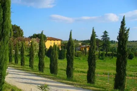Location maison à Vinci, Maison en Toscane avec Piscine & Jardin