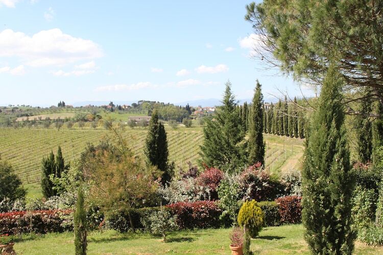 Da Vinci Uno, gîte 6 pers. en ferme toscane - Photo 7