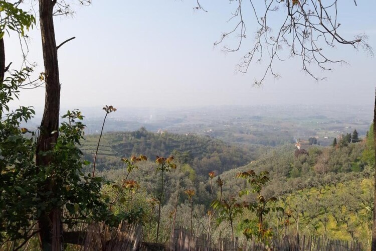 Da Vinci Uno, gîte 6 pers. en ferme toscane - Photo 28