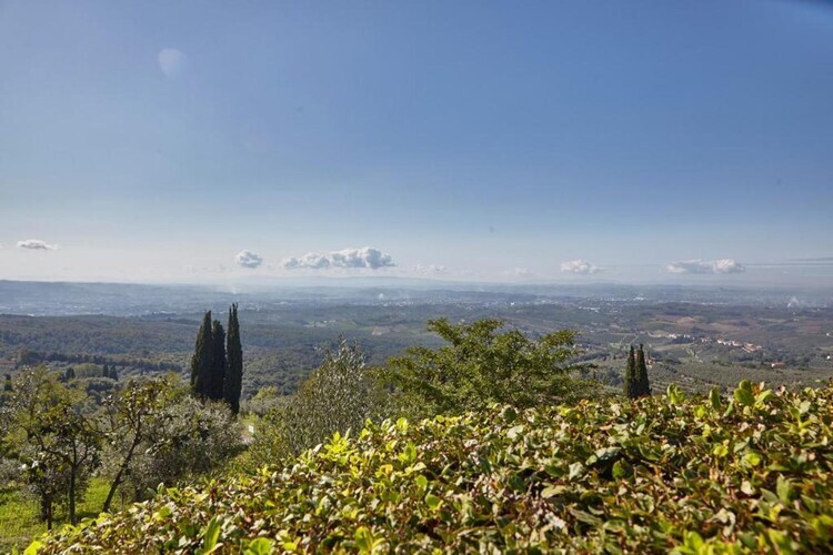 Da Vinci Uno, gîte 6 pers. en ferme toscane - Photo 31