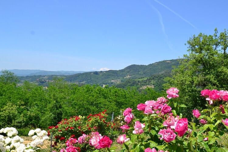 Casa Rondò - Gîte Montecatini avec piscine et oliveraie - Photo 19