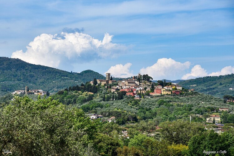 Casa Rondò - Gîte Montecatini avec piscine et oliveraie - Photo 22