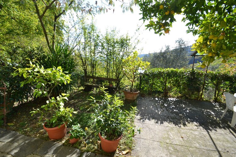 Gîte Conca Oro - Piscine privée et forêt à Marliana - Photo 19