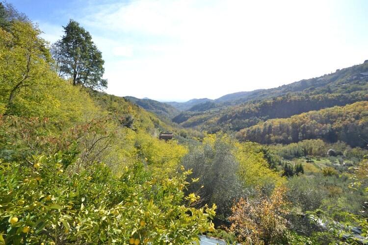 Gîte Conca Oro - Piscine privée et forêt à Marliana - Photo 20