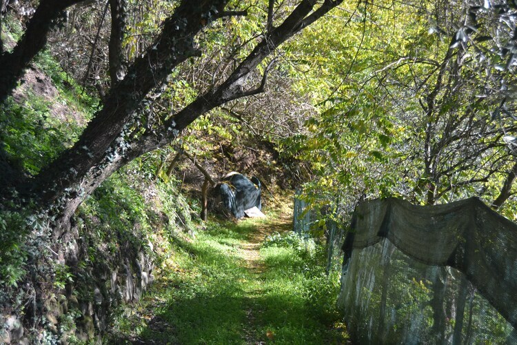 Gîte Conca Oro - Piscine privée et forêt à Marliana - Photo 24