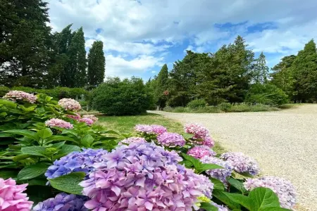 La Fagianaia, Gîte avec piscine - Photo 29