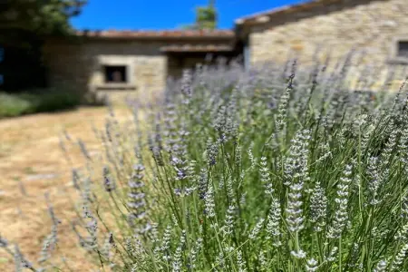 La Fagianaia, Gîte avec piscine - Photo 39