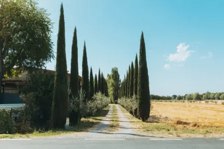 Cipresso, Maison vintage à Cortona - Photo 9