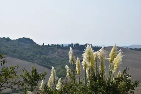 Stalla Rossa : gîte rustique 5 pers. en Toscane : photo 33