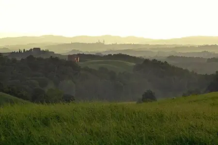 Stalla Rossa : gîte rustique 5 pers. en Toscane : photo 35