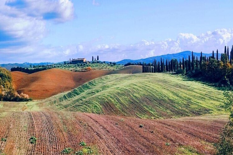 Stalla Verde, gîte rural en Toscane pour 6 personnes - Photo 32