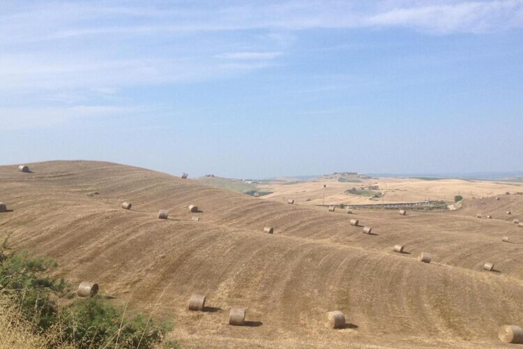 Stalla Verde, gîte rural en Toscane pour 6 personnes - Photo 38