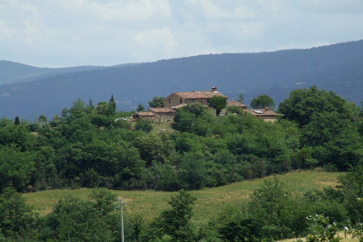 Gite Casole d'Elsa - Vue collines toscanes - Photo 10