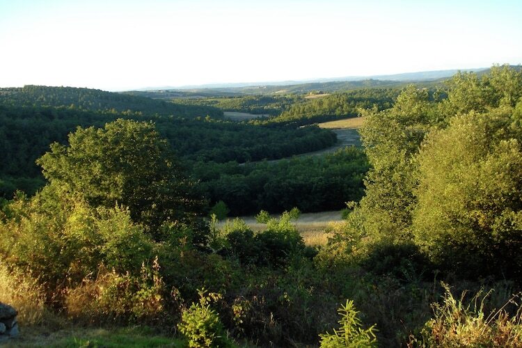 Gite Casole d'Elsa - Vue collines toscanes - Photo 12