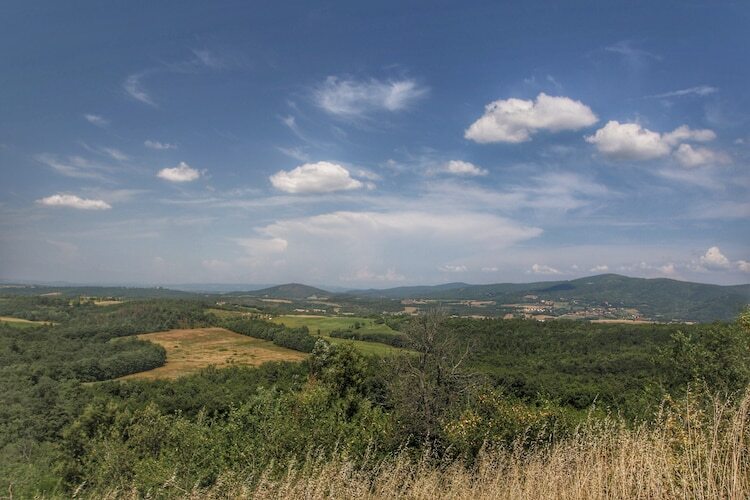 Gite Casole d'Elsa - Vue collines toscanes - Photo 13