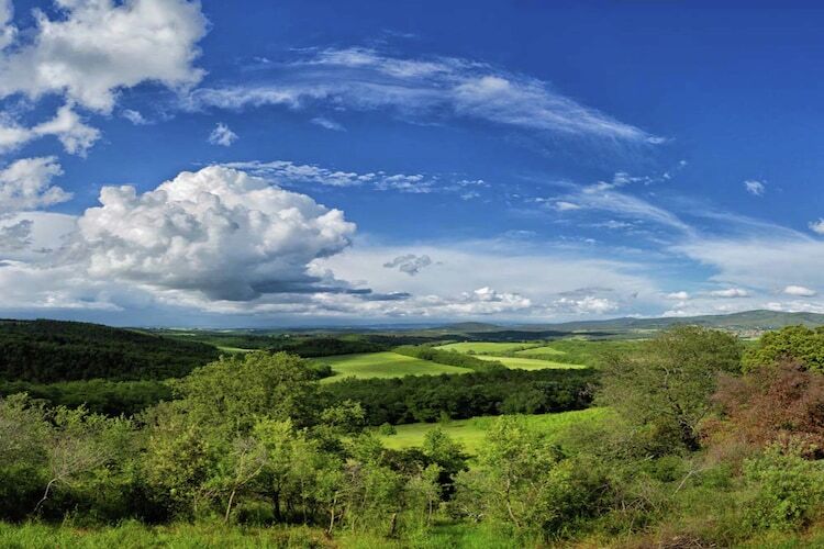 Gite Casole d'Elsa - Vue collines toscanes - Photo 14