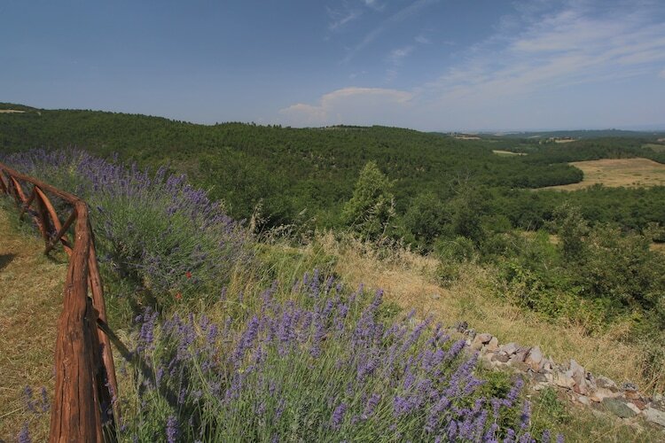 Gite Casole d'Elsa - Vue collines toscanes - Photo 18